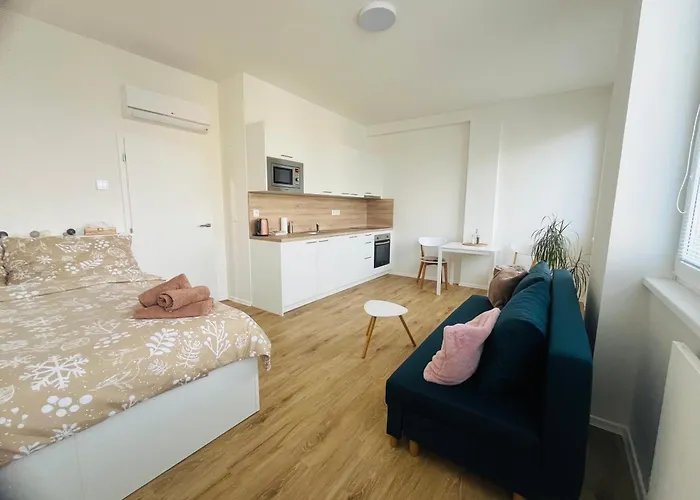 Apartman Vyskov